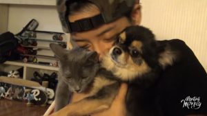 Amber, f(x), JackJack, JJ, Tuna, K-Pop, Pets