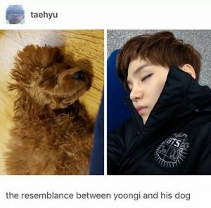 Suga, Holly. Min Holly, BTS, K-Pop, Pets