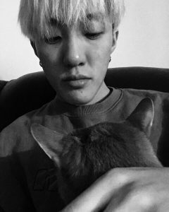 K-Pop, Pets, Zion.T, Namu, Cat 