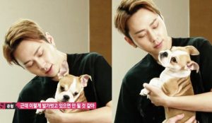 K-Pop, Pets, HIGHLIGHT, Junghyung, Hyungnim, Dog